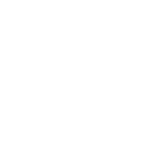_Assumption